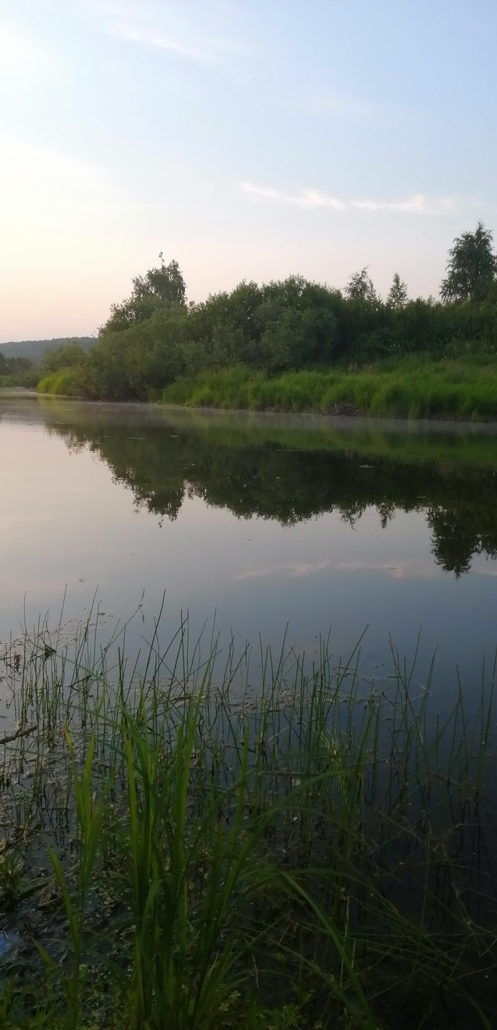 Летний вечер