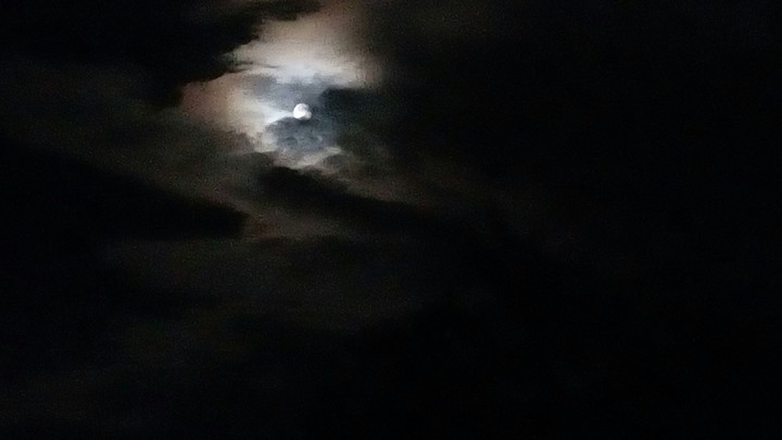 insigh moon