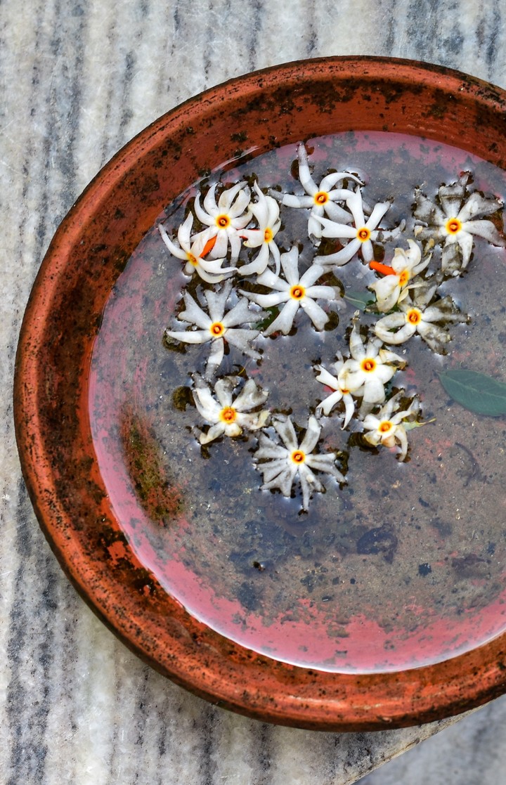 white Flowers