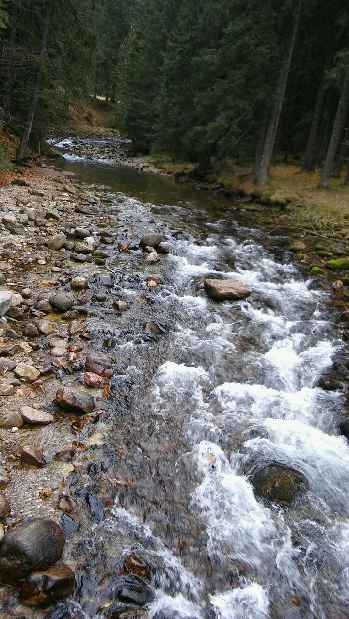 #Zakopane #Zima