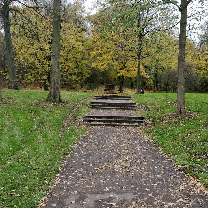 Steps