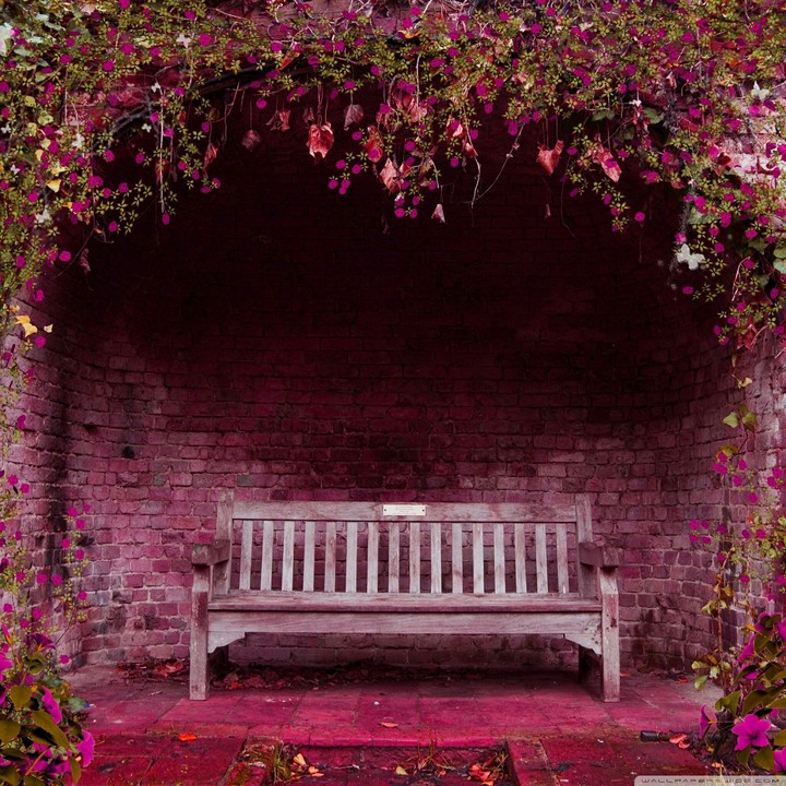 lovely place
