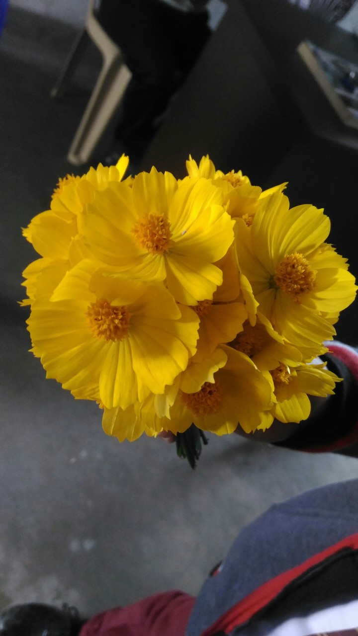 yellow