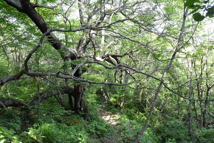 산이미지
