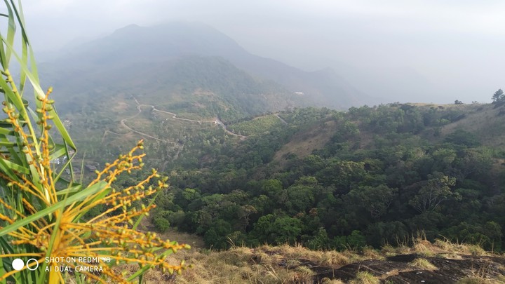 Ponmudi hill top