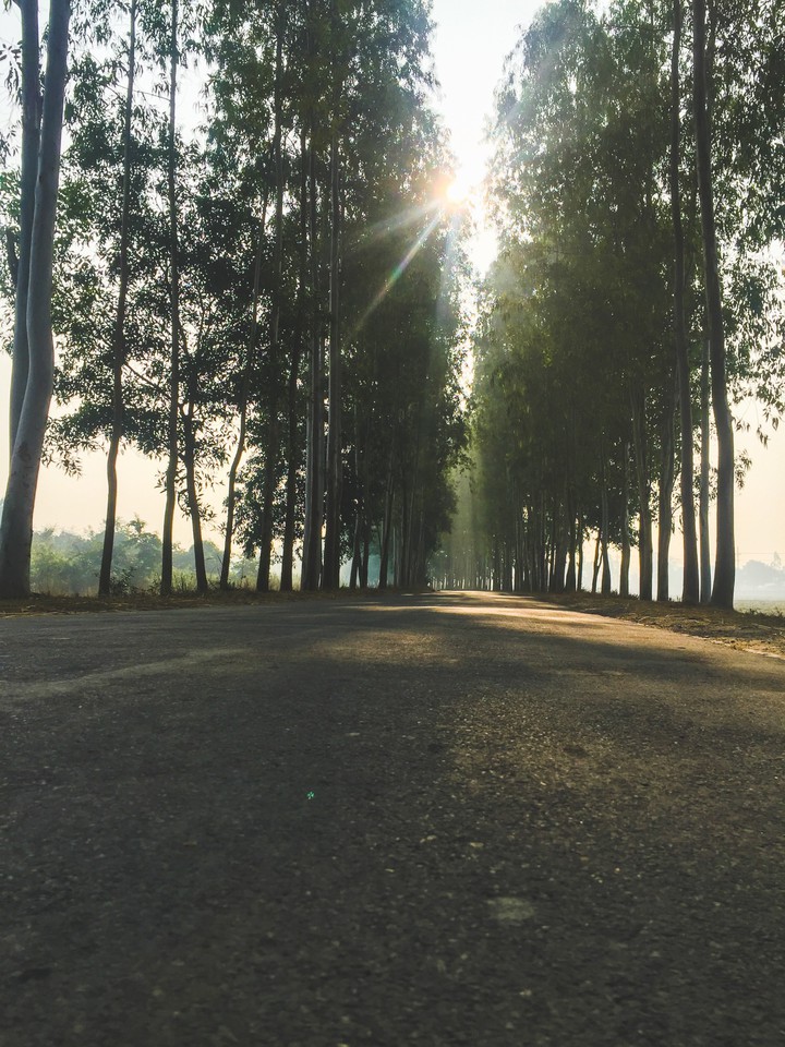 Dohar,Dhaka road ..Bangladesh