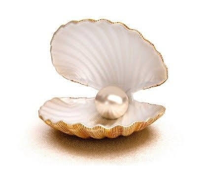 shellfish, gemstone wallpapers