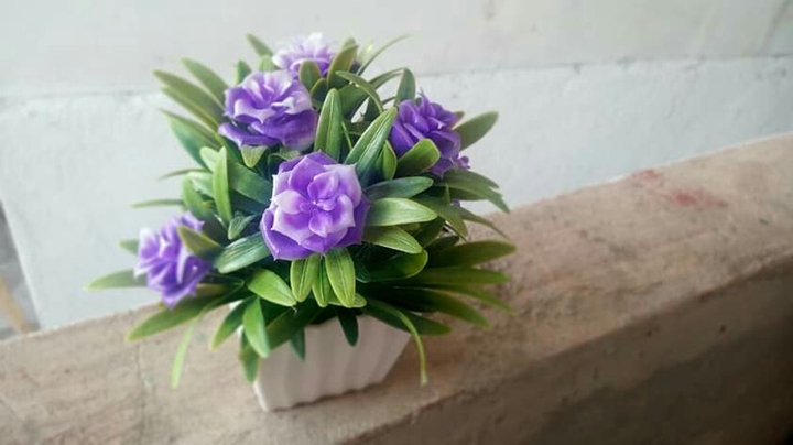 The Beautiful Artificial Life