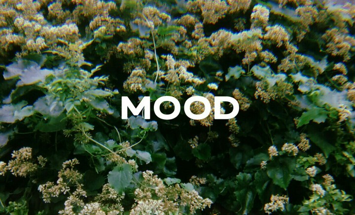 M O O D