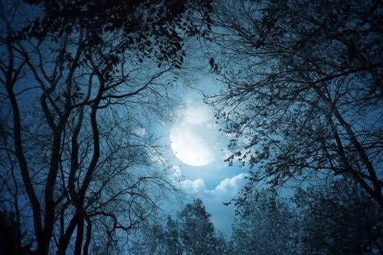 Alone Night
