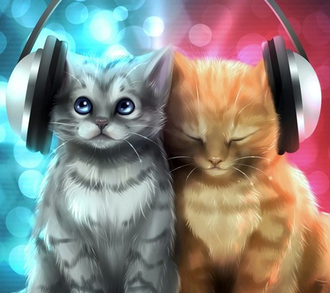 kittens