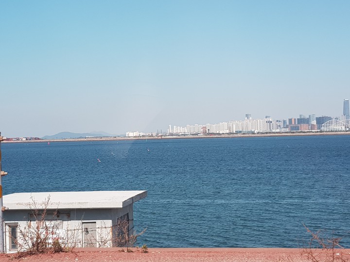 The sea