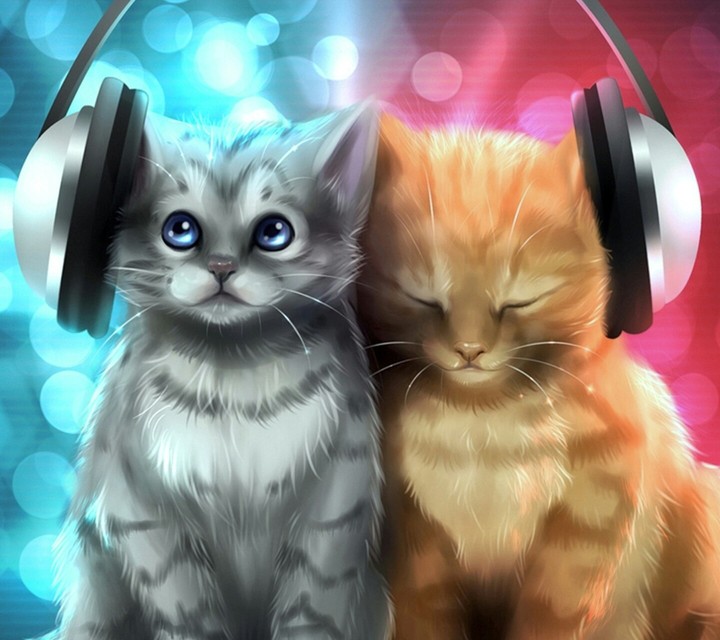 kittens