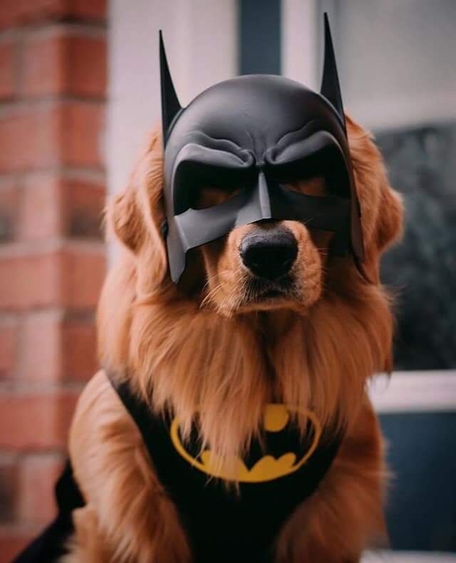 wuwuwbattt