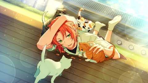 Ensemble stars