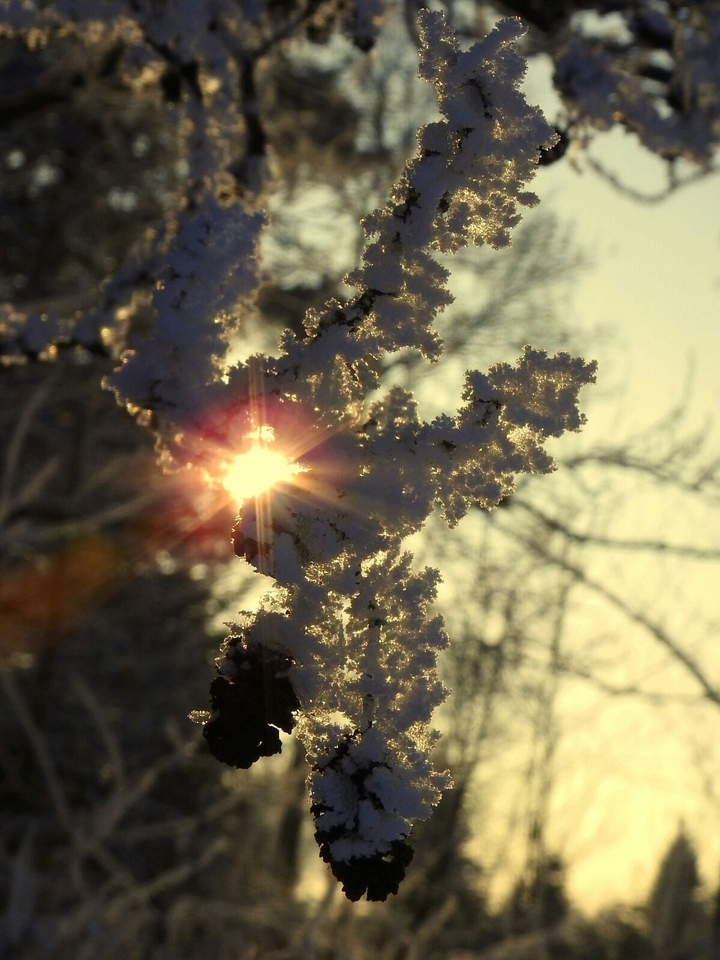 Sunshine.