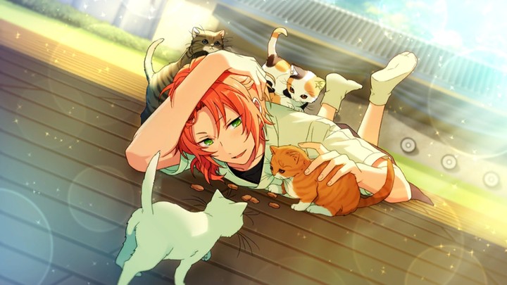 Ensemble stars