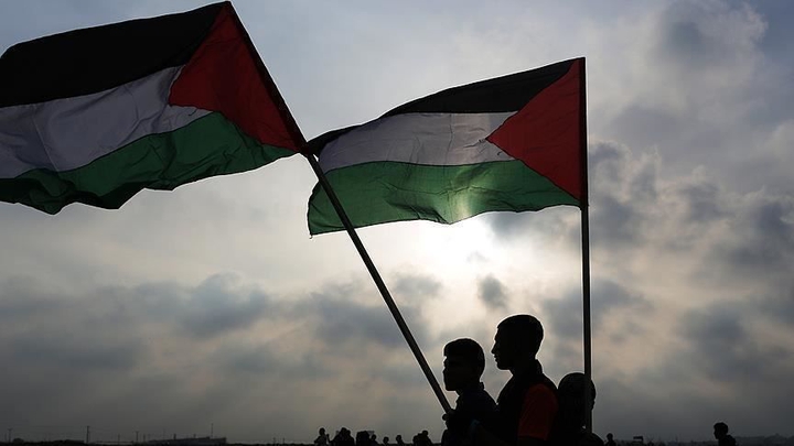 free palestine