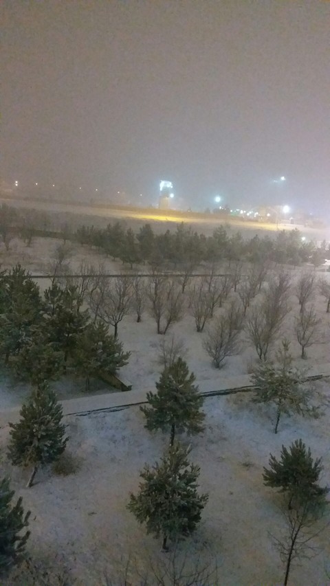 Winter ❄️⛄