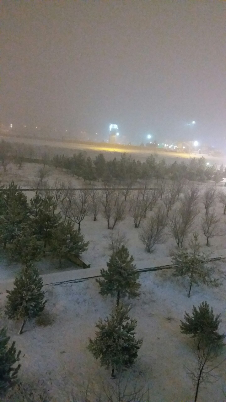 Winter ❄️⛄