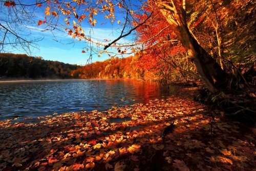 autumn