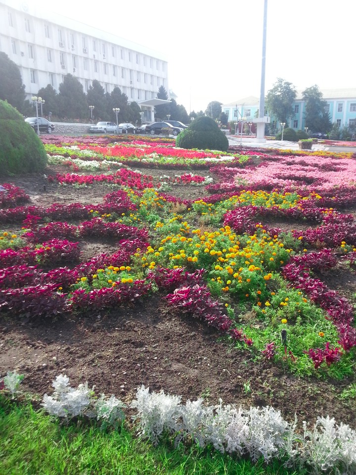 Around the flowers.