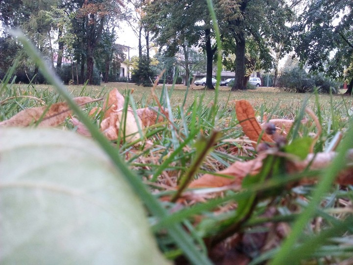 Park it's wonderfull (Pozdro dla Polaków)