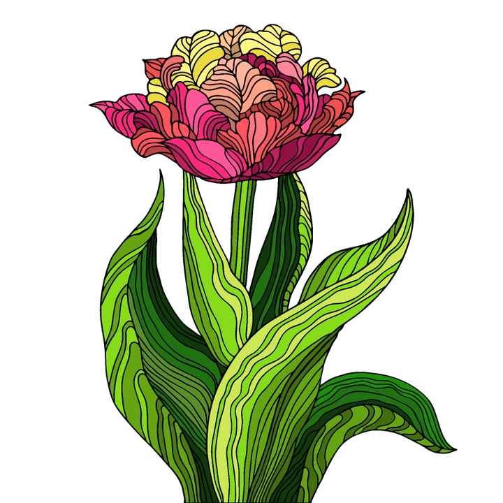 rose