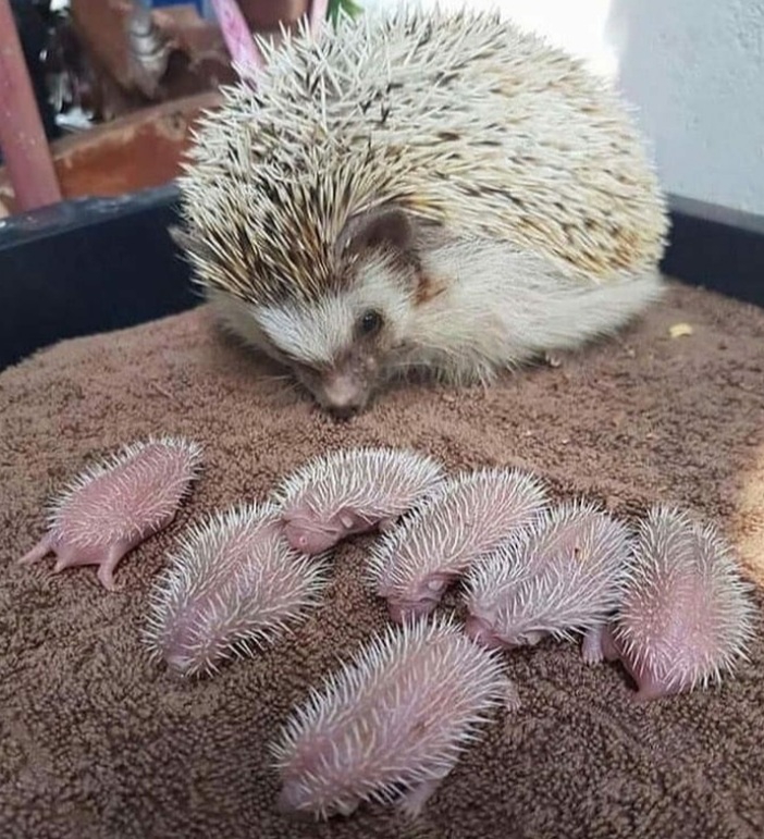 ❤