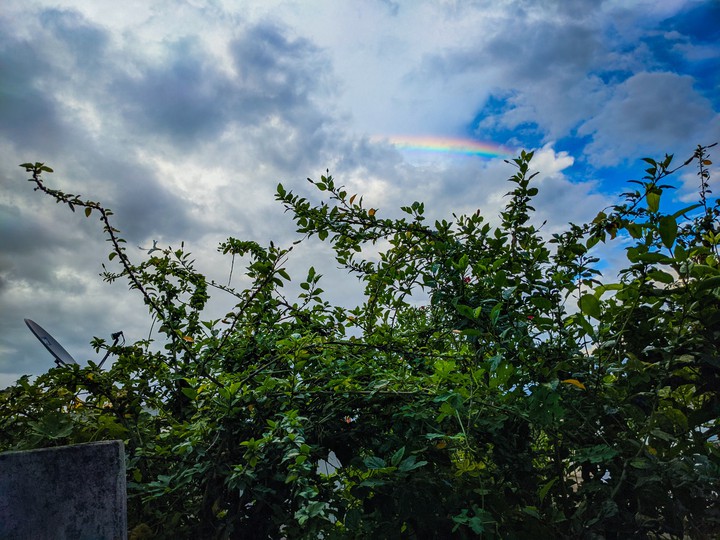 Rainbow ❤️