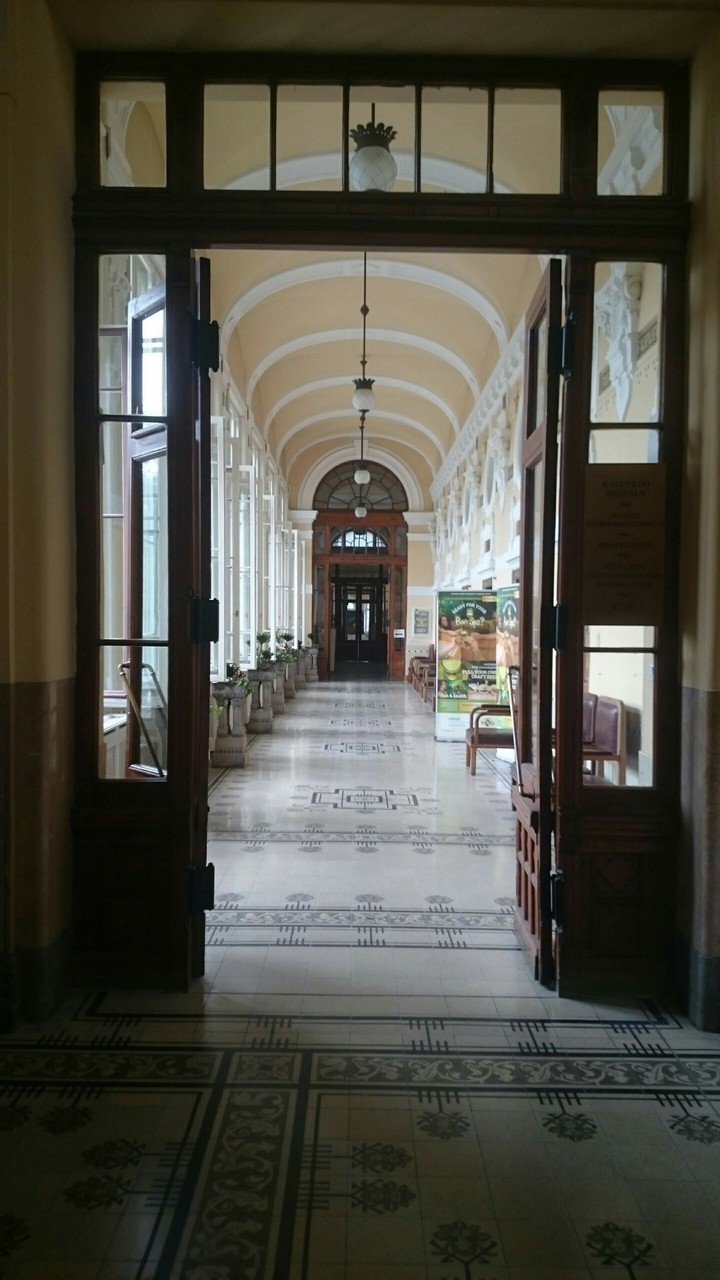 STAMATIOS