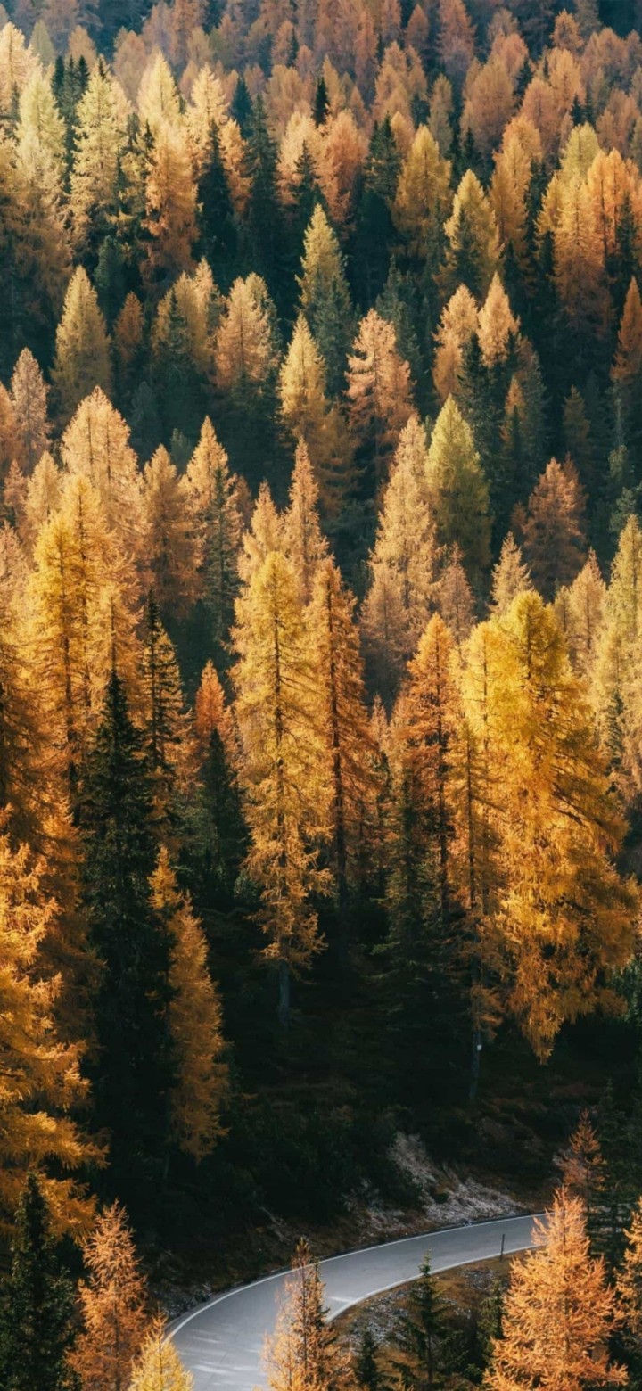 nature