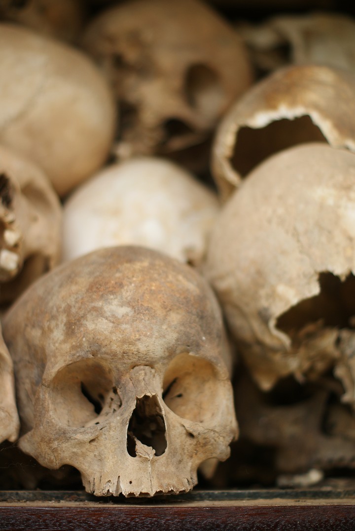 Human Skeleton