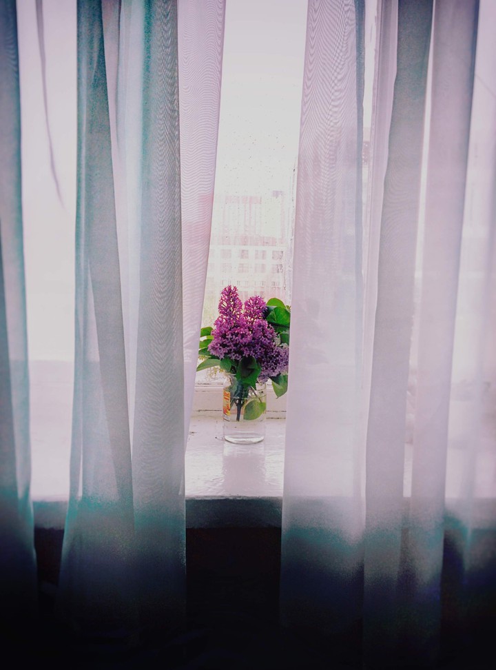 Сирень