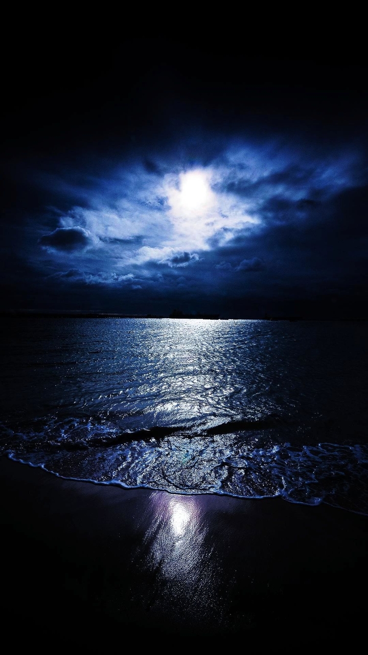 moonlight ✨