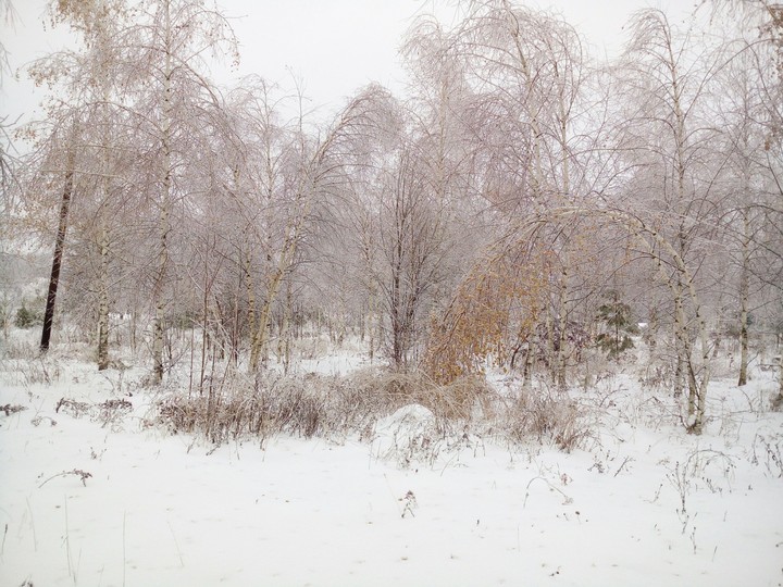 winter