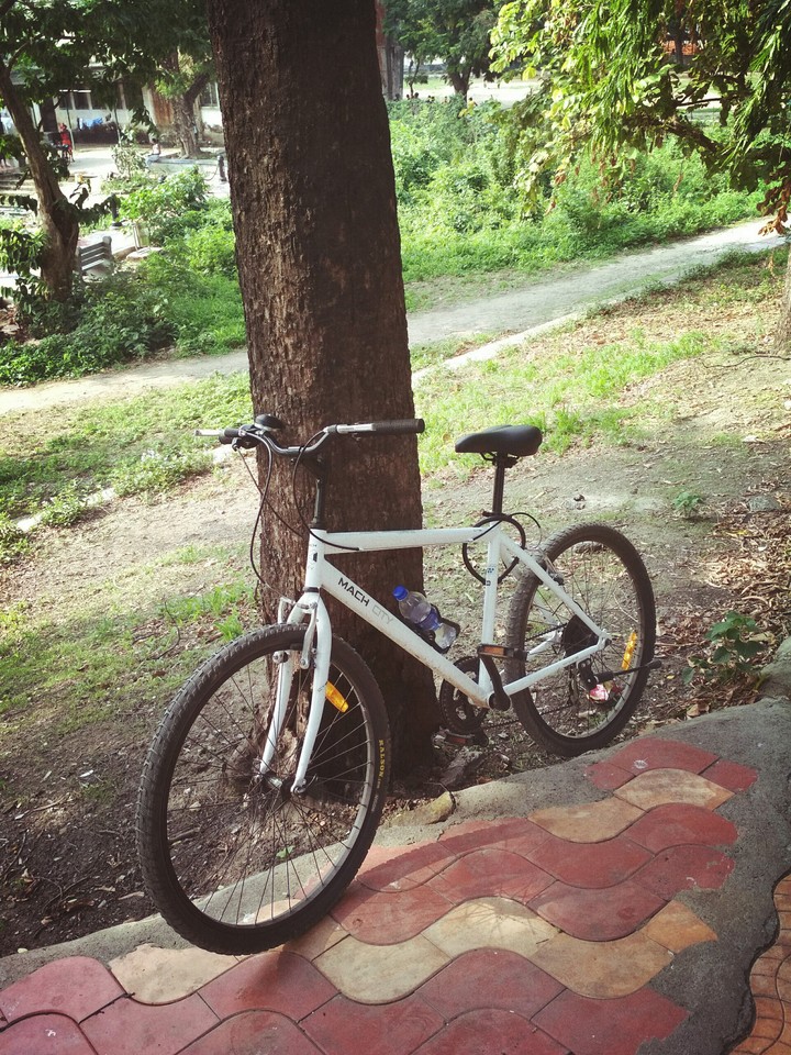 a pic from my morning ride