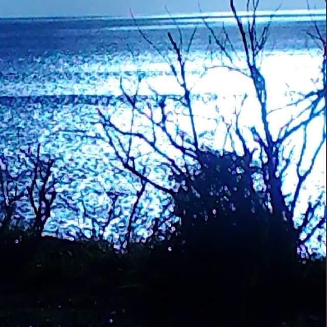 Moonlight