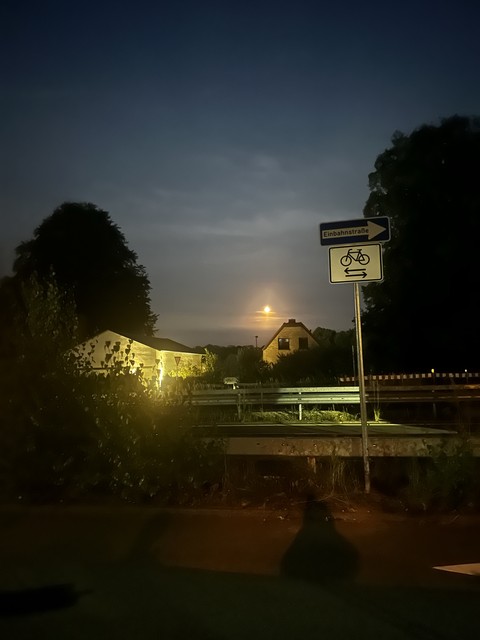 шпалери tree, dusk