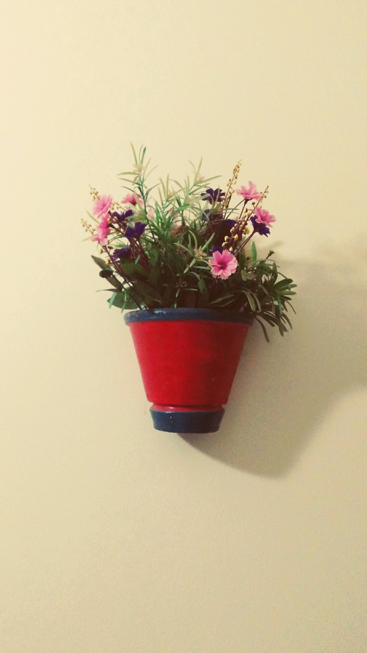 Flores