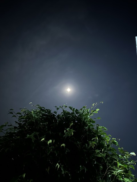 moon, window háttérképek