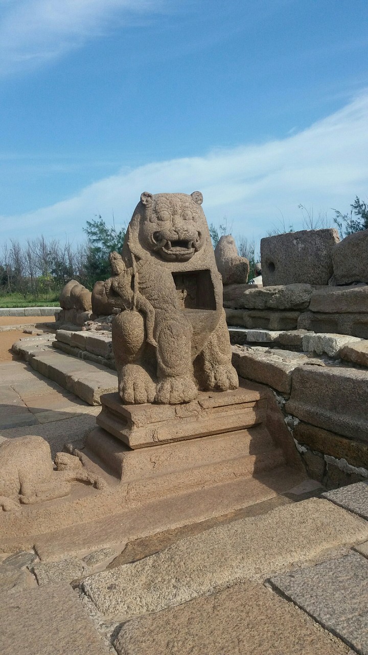 Lion statue ..Mahabalipuram..TN.(india)