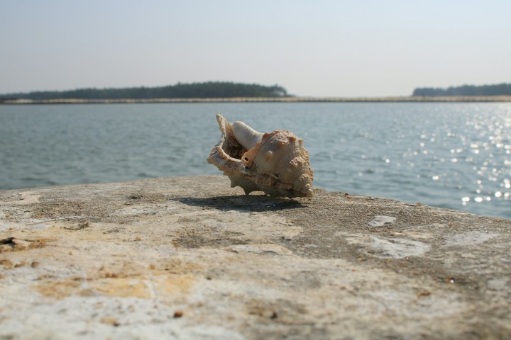 captured