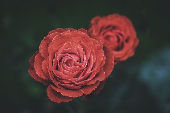 고요
