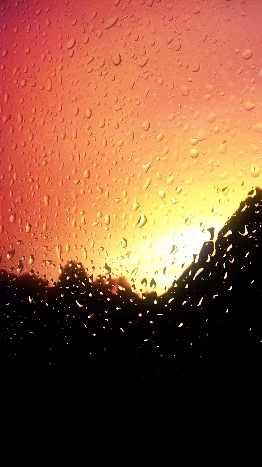 Orange Summer 2017