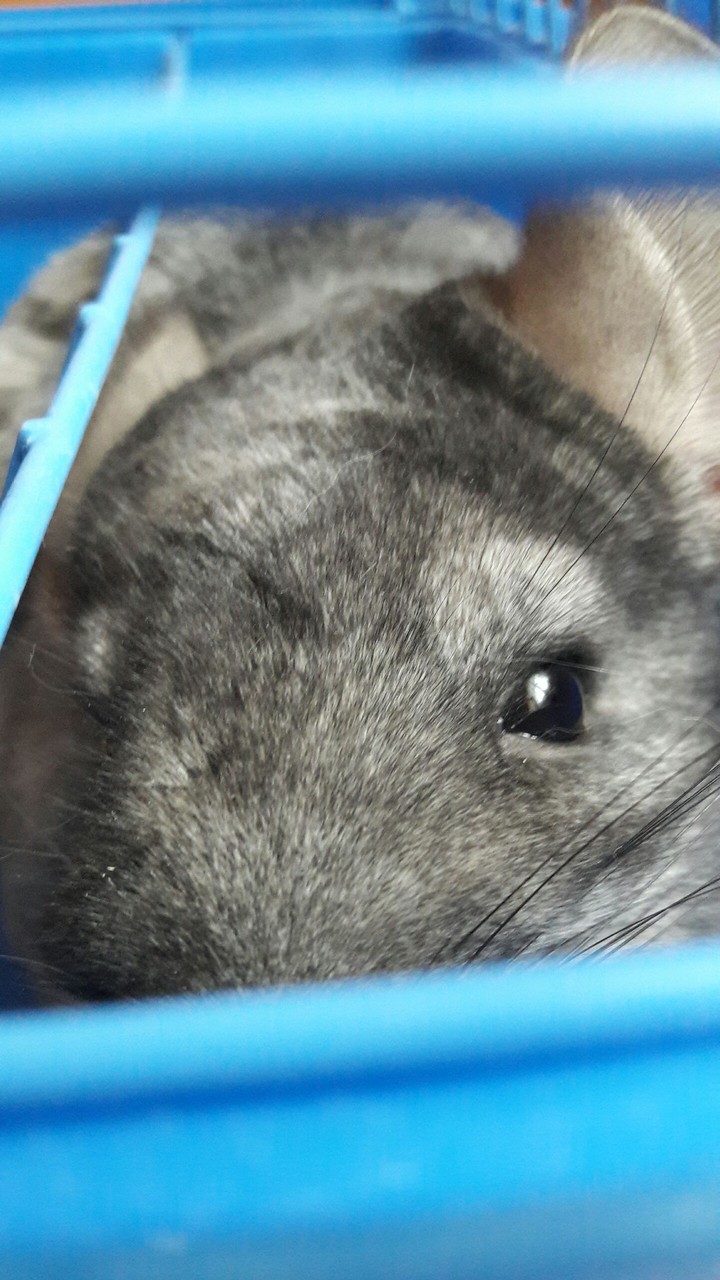 моя кнопочка❤
