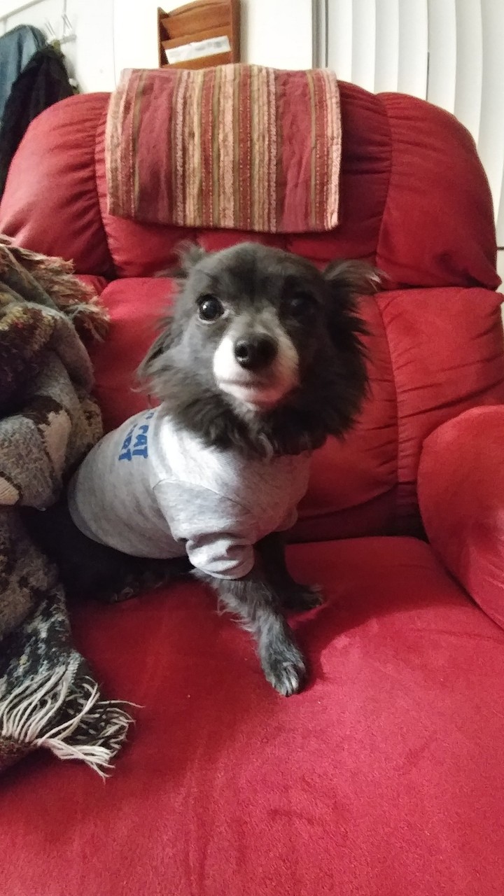 Kenai "Mr Fly"