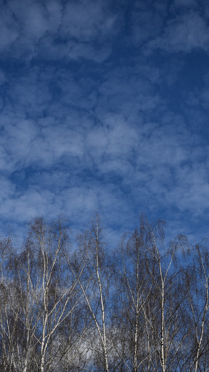 sky
