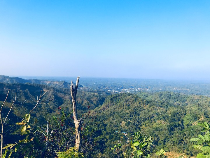 nature