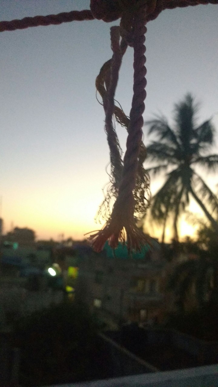 knot